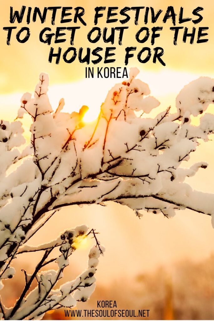 Winter Festivals in Korea To Get Out of the House For: Looking for something to do in Korea in the winter? Check out these fun winter festivals in Korea with everything from snow to ice fishing.