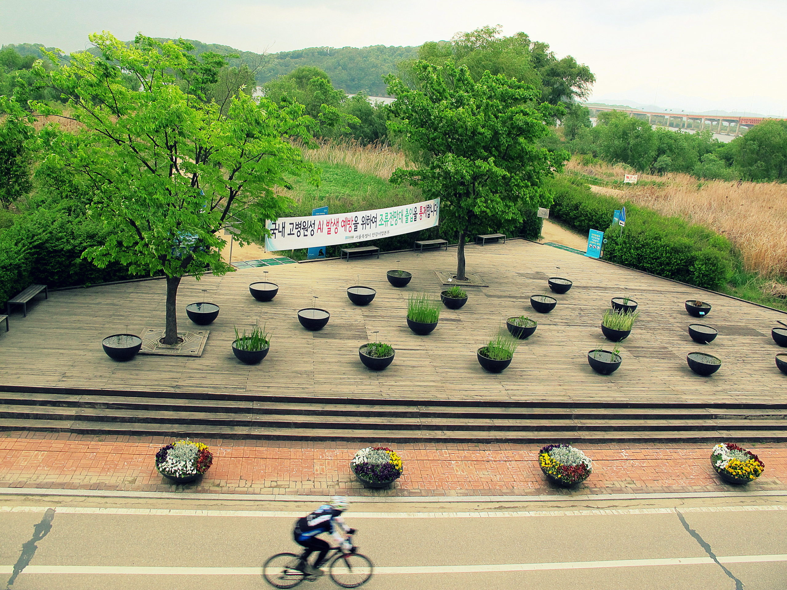 Gangseo Marsh Ecological Park, Han Gang River park, Seoul, Korea