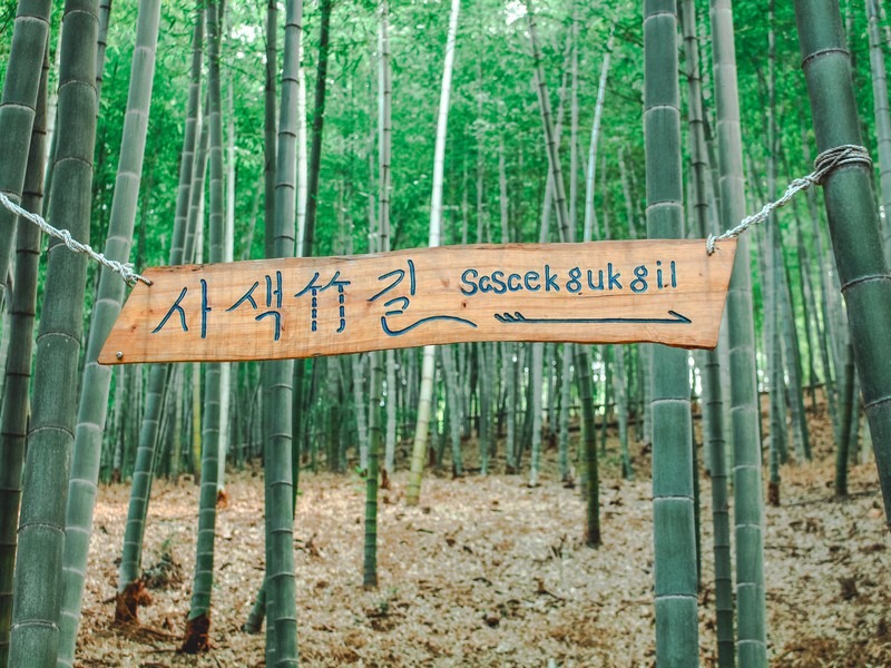 Maengjongjuk Theme Park (맹종죽테마파크), Geoje-do, Korea