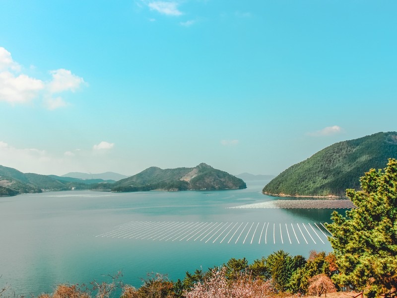 Maengjongjuk Theme Park (맹종죽테마파크), Geoje-do, Korea