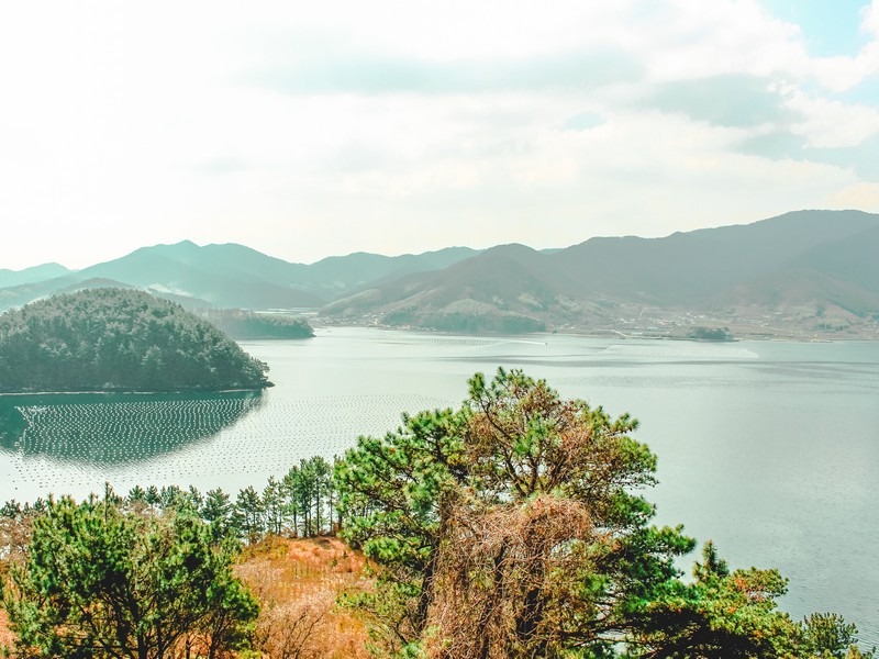 Maengjongjuk Theme Park (맹종죽테마파크), Geoje-do, Korea