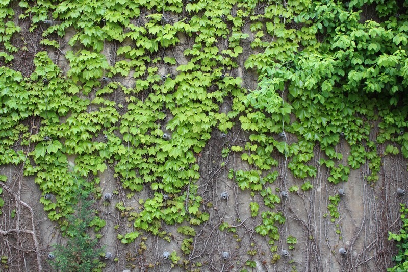 Seonyudo Park, Hangang River, Seoul, Korea