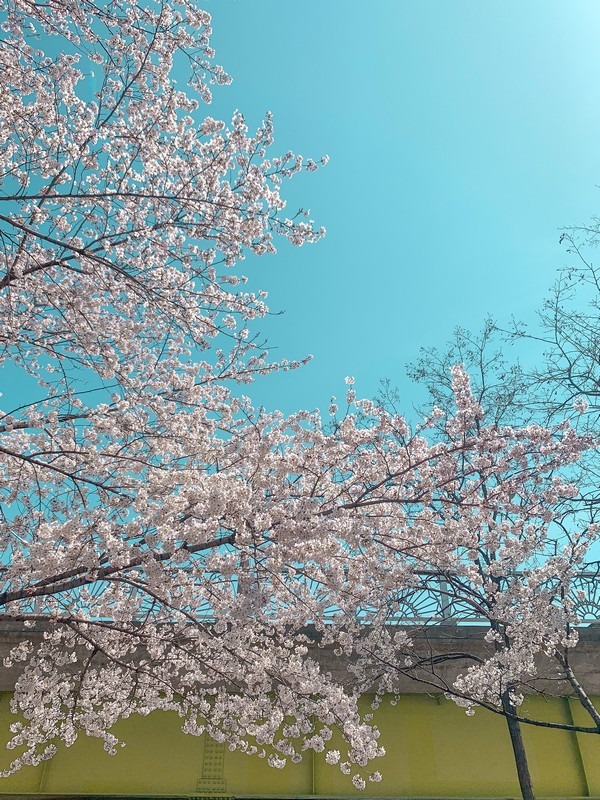 Seonyudo Island, Seoul, Korea