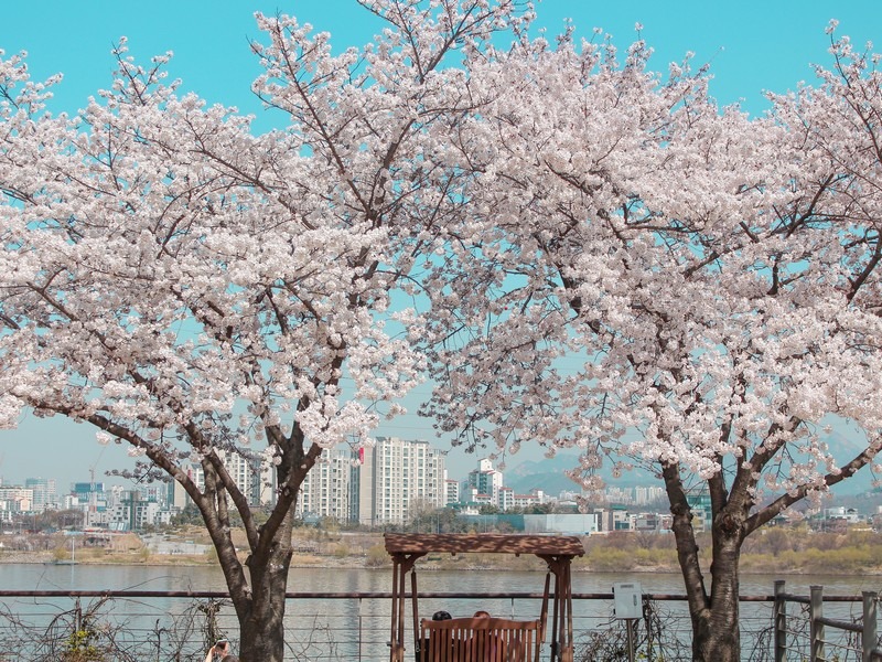 Seonyudo Island, Seoul, Korea