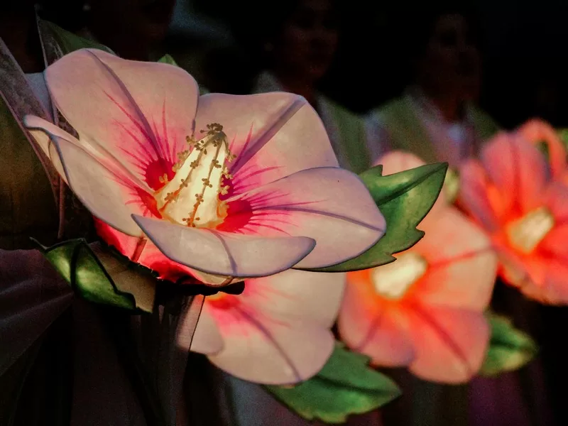 Lantern Parade (연등회), Lotus Lantern Festival, Seoul, Korea