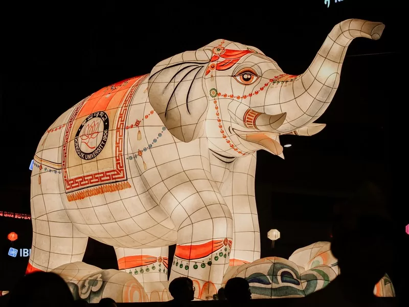Lantern Parade (연등회), Lotus Lantern Festival, Seoul, Korea