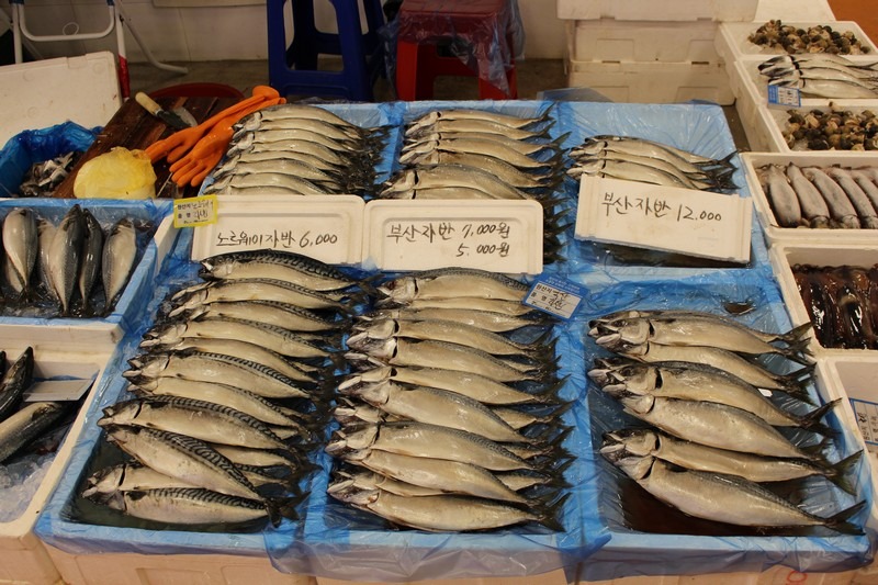 Seoul, Korea: Noryangjin Fish Market