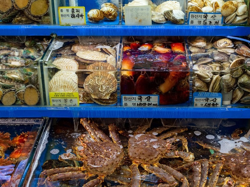 Noryangjin Fish Market, Seoul, Korea