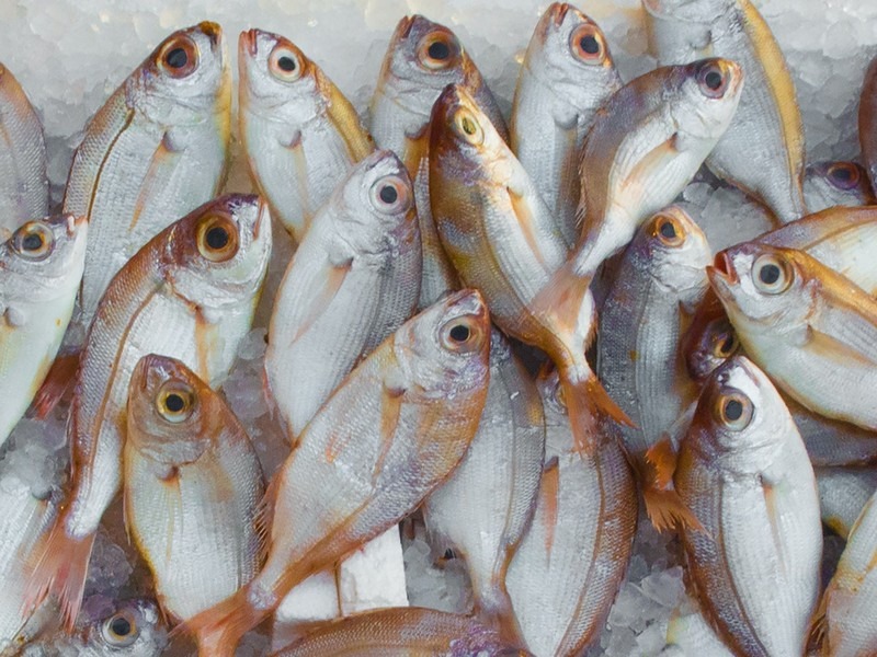 Noryangjin Fish Market, Seoul, Korea