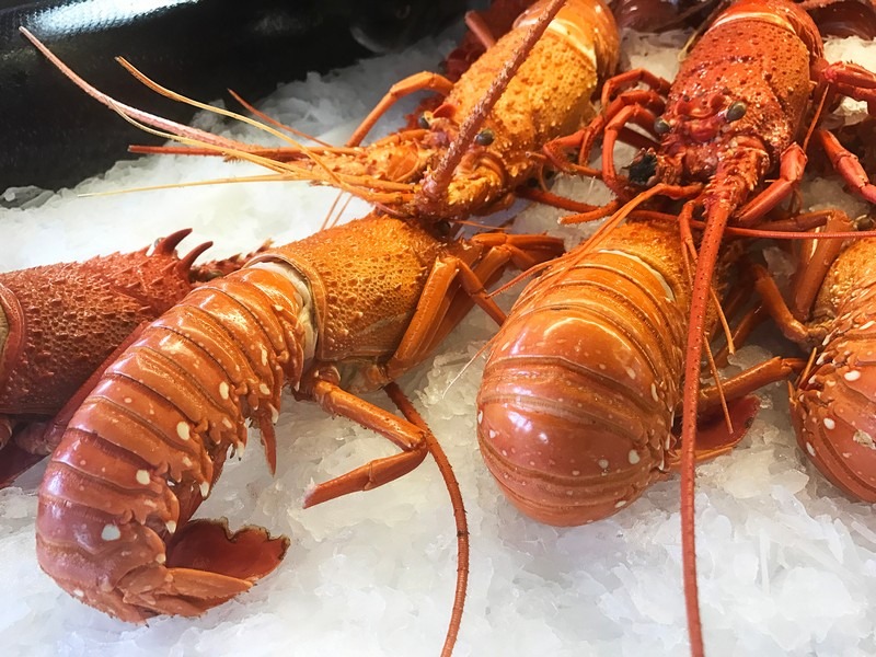 Noryangjin Fish Market, Seoul, Korea