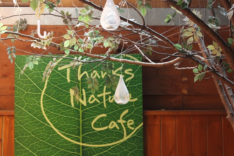 Hongdae, Seoul, Korea: Nature Thanks Sheep Cafe