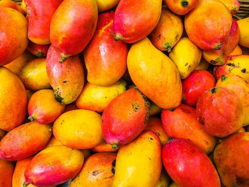 mangoes