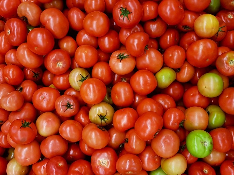 tomatoes