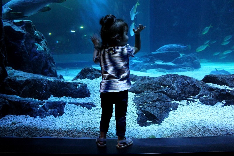 Aqua Planet Ilsan, Ilsan, Korea