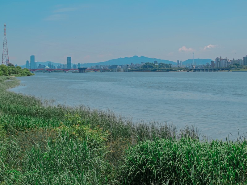 Nanji Hangang Park (난지한강공원생태습지원), Mapo-gu, Seoul, Korea