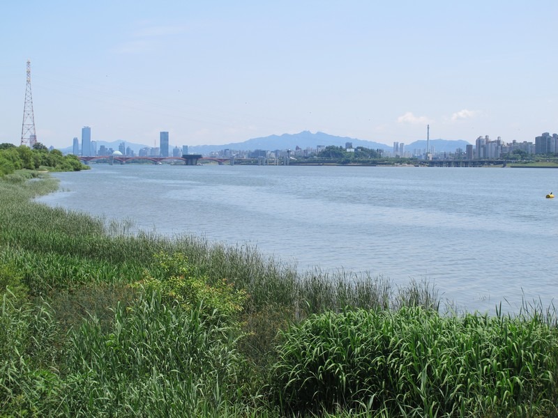 Nanji Ecological Park, Nanji, Mapo-gu, Seoul, Korea