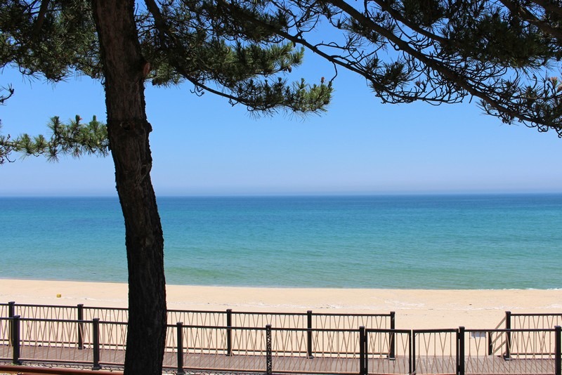 Jeongdongjin Beach, Gangneung, Korea