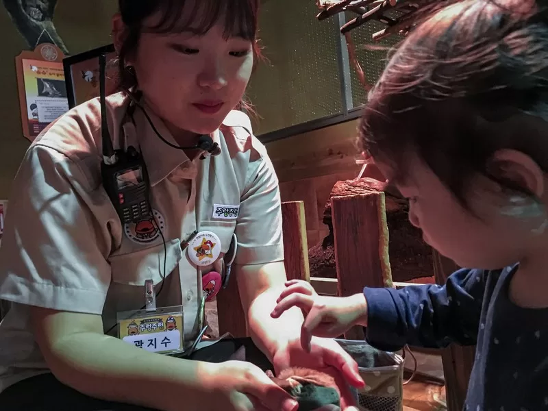 Zoolung Zoolung (주렁주렁), Seoul, Korea: petting zoo in Korea