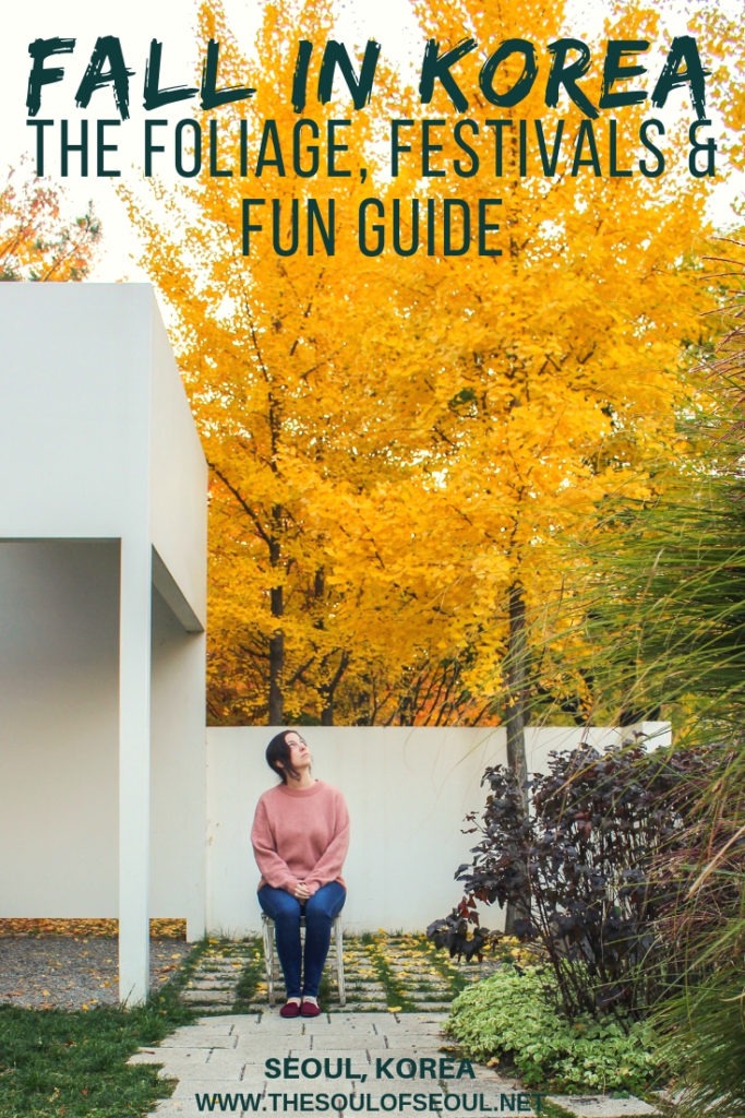 Fall In Korea: The Foliage, Festivals & Fun Guide: What to do, where to go, and what to eat this fall in Seoul, Korea. Make sure you know what to wear and where to see the best foliage in the area with this guide to autumn foliage and must see places this fall in Seoul.