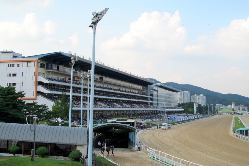 Gwacheon Horse Racing Track, Let's Run Park, Seoul, Korea