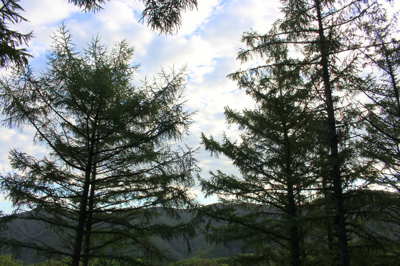 Munboksan Camping Ground, Ulsan, Korea