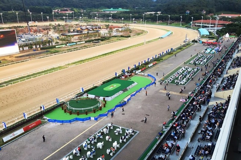 Gwacheon Horse Racing Track, Let's Run Park, Seoul, Korea