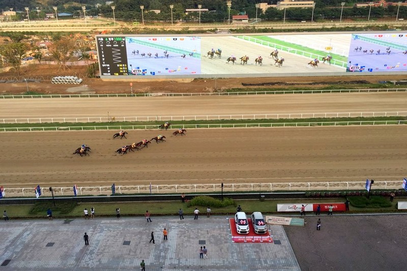 Gwacheon Horse Racing Track, Let's Run Park, Seoul, Korea