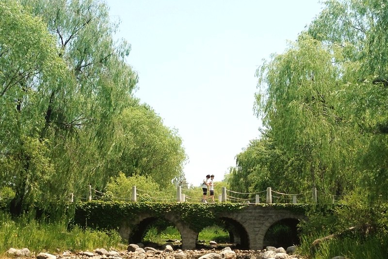 Pyeongwha (Peace) Park, World Cup Park, Seoul, Korea: Stream & Bridge