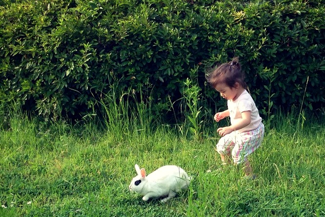 Pyeongwha (Peace) Park, World Cup Park, Seoul, Korea: Baby & a Bunny