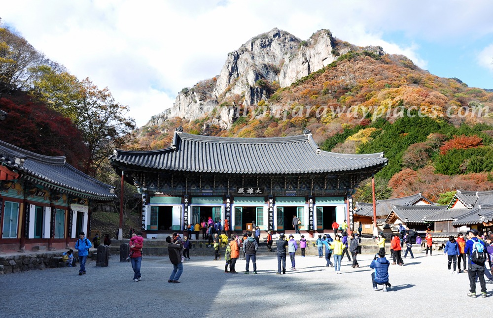 Family In Far Away Places: Baekyangsa Temple, Korea