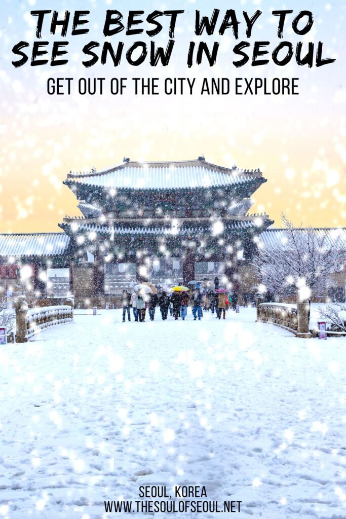 Can I See Snow In Seoul In The Winter: When to see snow, what to do in the winter in Korea and where to take pictures of snowflakes as they fall. Plan now to see snow in Seoul!