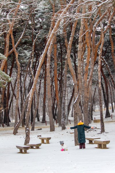 Seooreung Tombs, Seoul, Korea