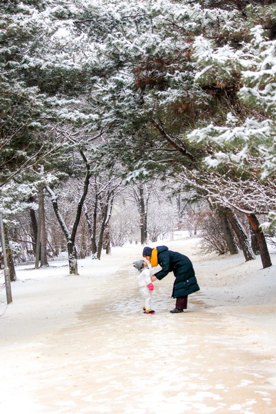 Seooreung Tombs, Seoul, Korea