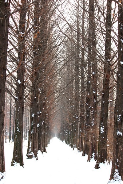 Snow in Seoul, World Cup Park, Seoul, Korea