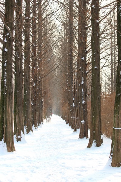 Snow in Seoul, World Cup Park, Seoul, Korea