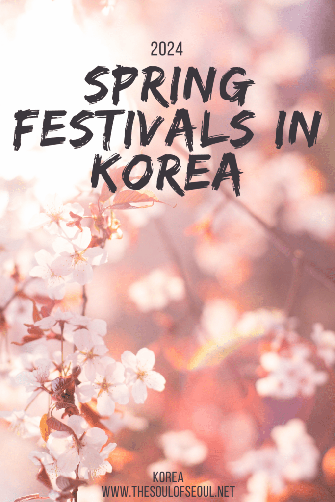 A Complete List Of Must See Spring Festivals In Korea 2024: Spring is the time for cherry blossom festivals, flower festivals, lantern parades and more in Korea. Check out this complete list of spring festivals around Korea from Seoul to Busan and everything in between.