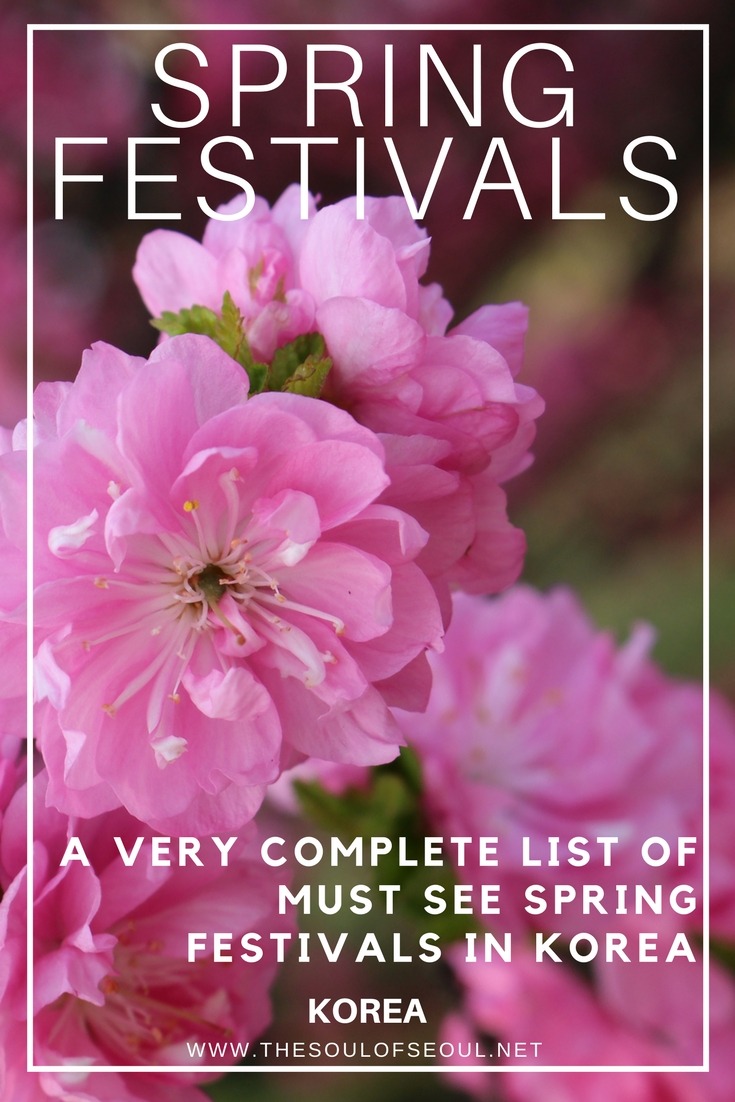 A Very Complete List Of Must See Spring Festivals In Korea - 