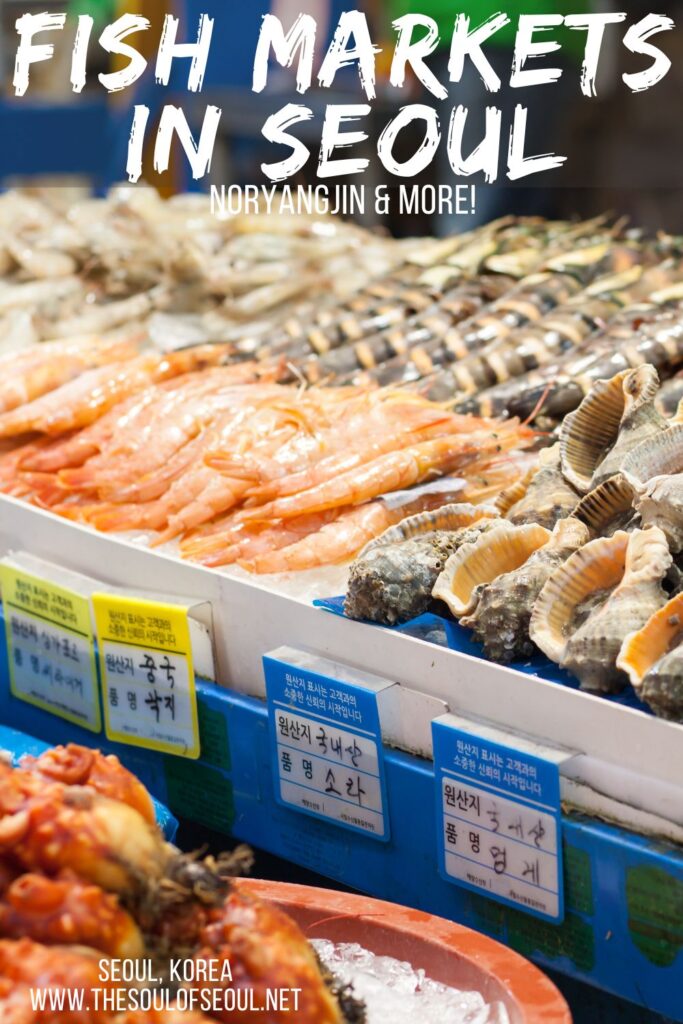 Fish Markets In Seoul: Noryangjin and More! While Noryangjin Fish Market might be the largest in Seoul, it is by no means the ONLY one. Check out this list of fish markets in Seoul to fit into your time in Seoul, Korea.