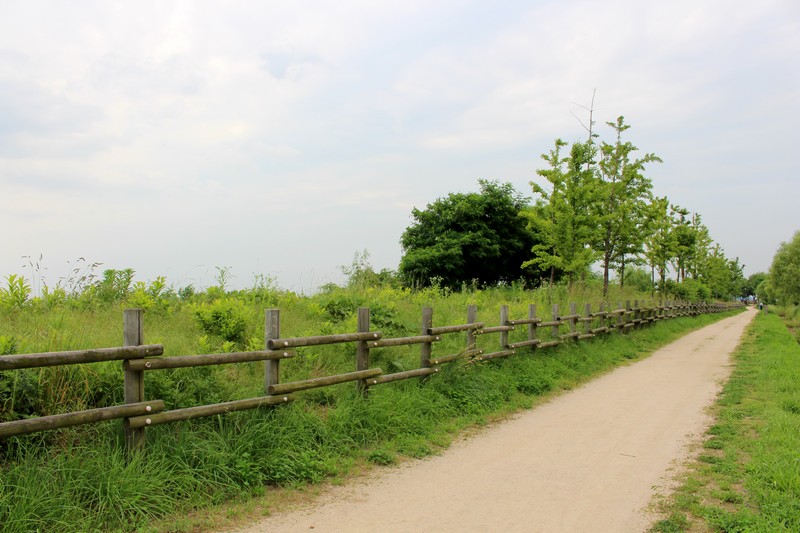 Noeul Park, Sunset Park, World Cup Park, Seoul, Korea