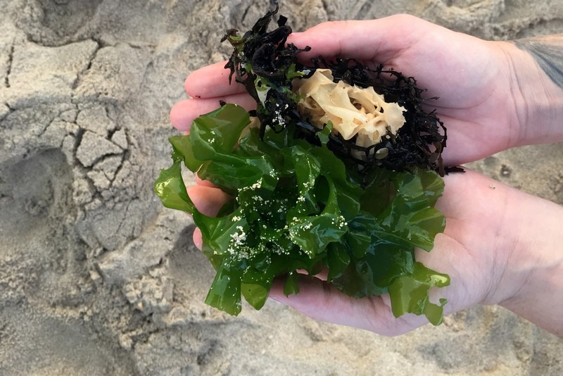 Hamdeok Beach, Jeju, Korea