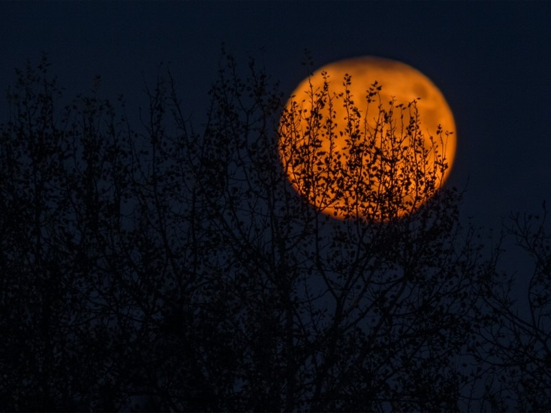 Full moon, blood red moon, Halloween in Korea