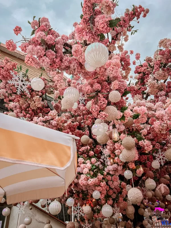 Dalim Bread (달임막), Seongsu-dong, Seoul, Korea; Seongsu cafe