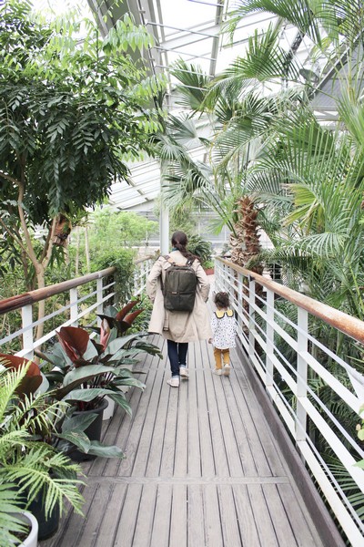 Seoul Forest, Seoul, Korea: Hallie Bradley