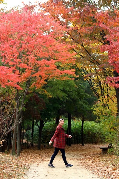 World Cup Park, Seoul, Korea: Hallie Bradley