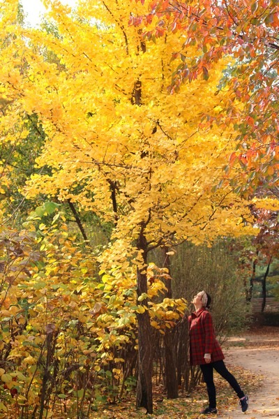 World Cup Park, Seoul, Korea: Hallie Bradley