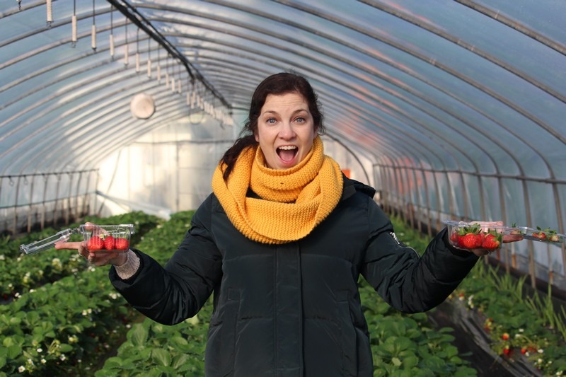 Daega Farm, Strawberry Picking, Namyangju, Korea: Hallie Bradley