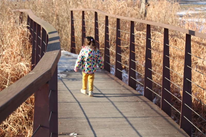 Dasan Ecological Park, Namyangju, Korea