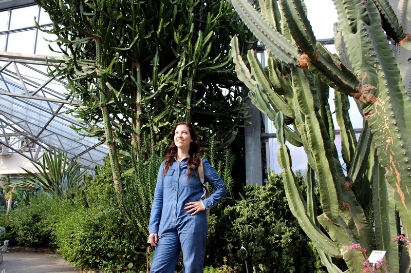 Cactus Greenhouse, Ilsan, Korea: Hallie Bradley