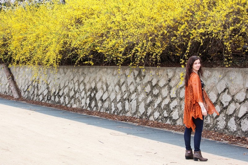 Worldcup Park, Forsythia Lane, Seoul, Korea: Hallie Bradley