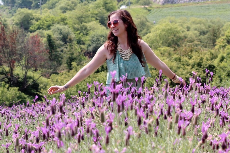 Herb Village, Yeoncheon-gun, Korea: Lavender Field, Hallie Bradley